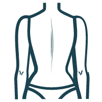 Back (Upper, Lower, Full)